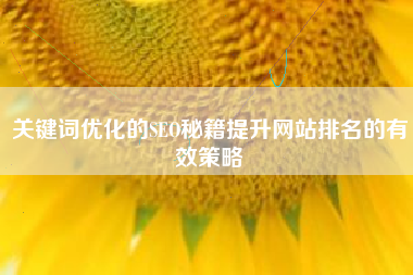 关键词优化的SEO秘籍提升网站排名的有效策略