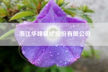 浙江华峰氨纶股份有限公司 浙江华峰氨纶股份有限公司