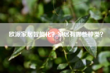 欧派家居智能化？家居有哪些种类？