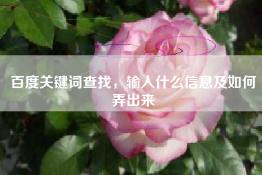 百度关键词查找，输入什么信息及如何弄出来