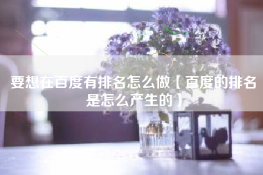 要想在百度有排名怎么做【百度的排名是怎么产生的】