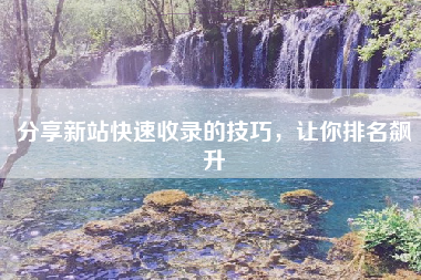 分享新站快速收录的技巧，让你排名飙升