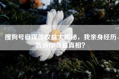 搜狗号自媒体收益大揭秘，我亲身经历告诉你收益真相？