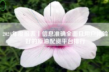 2024年度报表丨信息准确全面且用户体验好的原油配资平台排行