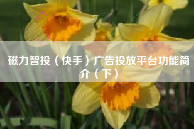 磁力智投（快手）广告投放平台功能简介（下）