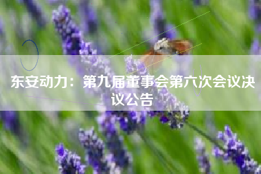 东安动力：第九届董事会第六次会议决议公告