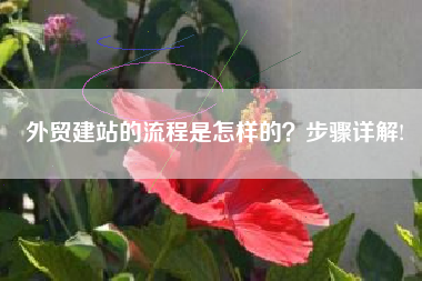 外贸建站的流程是怎样的？步骤详解!