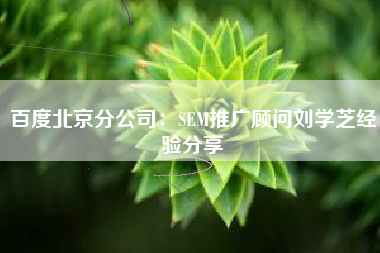 百度北京分公司：SEM推广顾问刘学芝经验分享