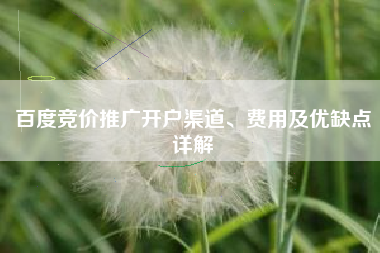 百度竞价推广开户渠道、费用及优缺点详解