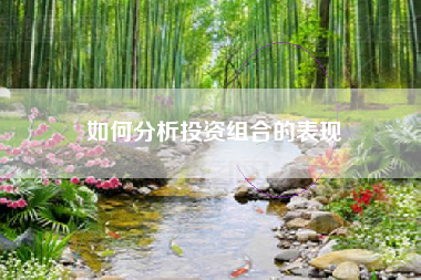如何分析投资组合的表现