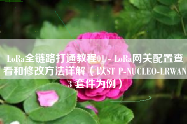 LoRa全链路打通教程01 - LoRa网关配置查看和修改方法详解（以ST P-NUCLEO-LRWAN3 套件为例）