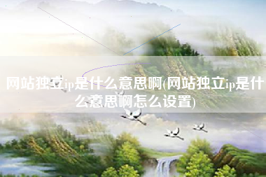 网站独立ip是什么意思啊(网站独立ip是什么意思啊怎么设置)