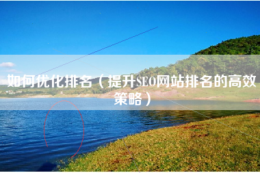 如何优化排名（提升SEO网站排名的高效策略）