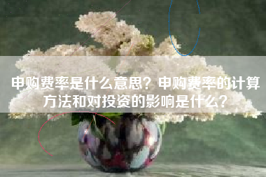 申购费率是什么意思？申购费率的计算方法和对投资的影响是什么？