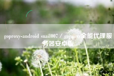goproxy-android snail007/goproxy全能代理服务器安卓版 goproxy-android snail007/goproxy全能代理服务器安卓版