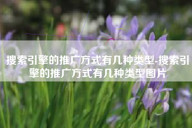 搜索引擎的推广方式有几种类型-搜索引擎的推广方式有几种类型图片