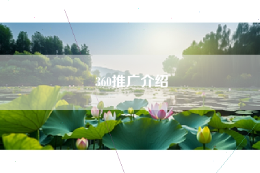 360推广介绍 360推广介绍