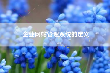 企业网站管理系统的定义