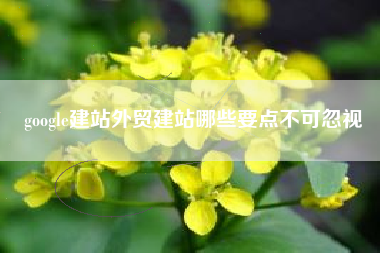 google建站外贸建站哪些要点不可忽视