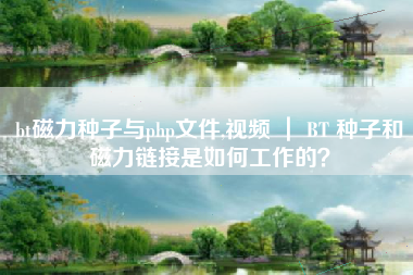 bt磁力种子与php文件,视频 ｜ BT 种子和磁力链接是如何工作的？
