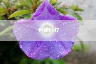 迈瑞医疗 迈瑞医疗
