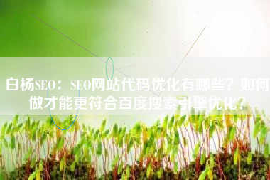 白杨SEO：SEO网站代码优化有哪些？如何做才能更符合百度搜索引擎优化？