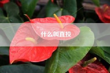 什么叫直投