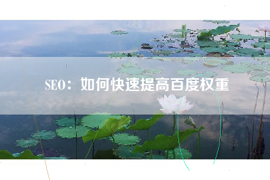 SEO：如何快速提高百度权重