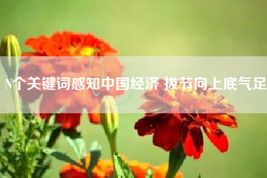 N个关键词感知中国经济 拔节向上底气足