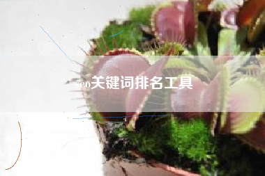 seo关键词排名工具