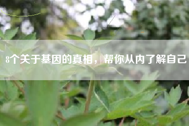 8个关于基因的真相,帮你从内了解自己 8个关于基因的真相,帮你从内了解自己