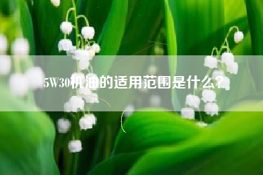 5W30机油的适用范围是什么？