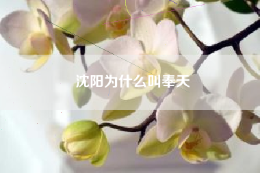 沈阳为什么叫奉天