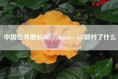 中国业务增长50%，Yandex Ads做对了什么