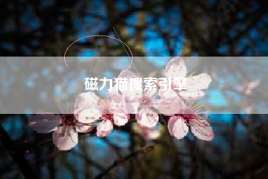 磁力猫搜索引擎