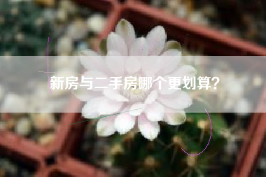 新房与二手房哪个更划算？