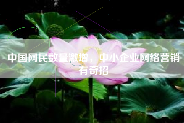 中国网民数量激增，中小企业网络营销有奇招
