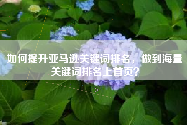 如何提升亚马逊关键词排名，做到海量关键词排名上首页？