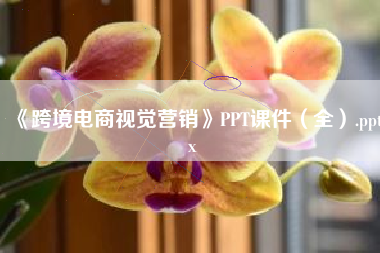 《跨境电商视觉营销》PPT课件(全).pptx 《跨境电商视觉营销》PPT课件(全).pptx