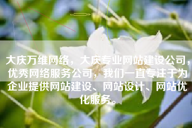 大庆万维网络，大庆专业网站建设公司，优秀网络服务公司，我们一直专注于为企业提供网站建设、网站设计、网站优化服务。