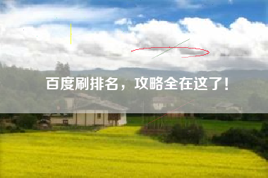 百度刷排名,攻略全在这了! 百度刷排名,攻略全在这了!