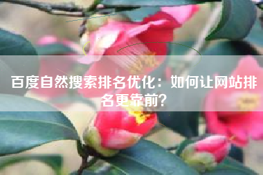 百度自然搜索排名优化：如何让网站排名更靠前？