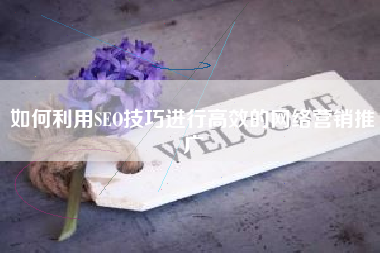 如何利用SEO技巧进行高效的网络营销推广