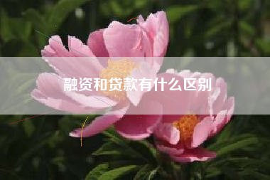 融资和贷款有什么区别