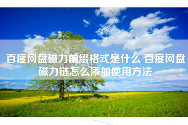 百度网盘磁力前缀格式是什么 百度网盘磁力链怎么添加使用方法