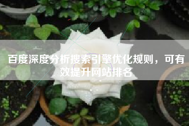 百度深度分析搜索引擎优化规则，可有效提升网站排名