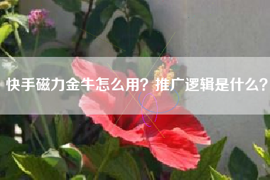 快手磁力金牛怎么用？推广逻辑是什么？
