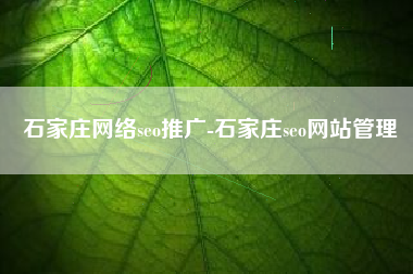 石家庄网络seo推广-石家庄seo网站管理