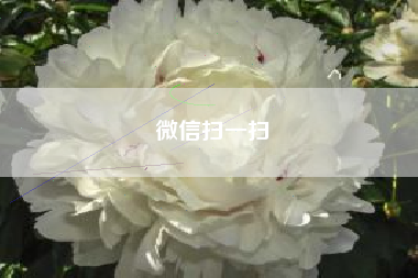 微信扫一扫 微信扫一扫