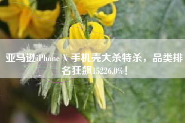 亚马逊iPhone X 手机壳大杀特杀，品类排名狂飙15226.0%！